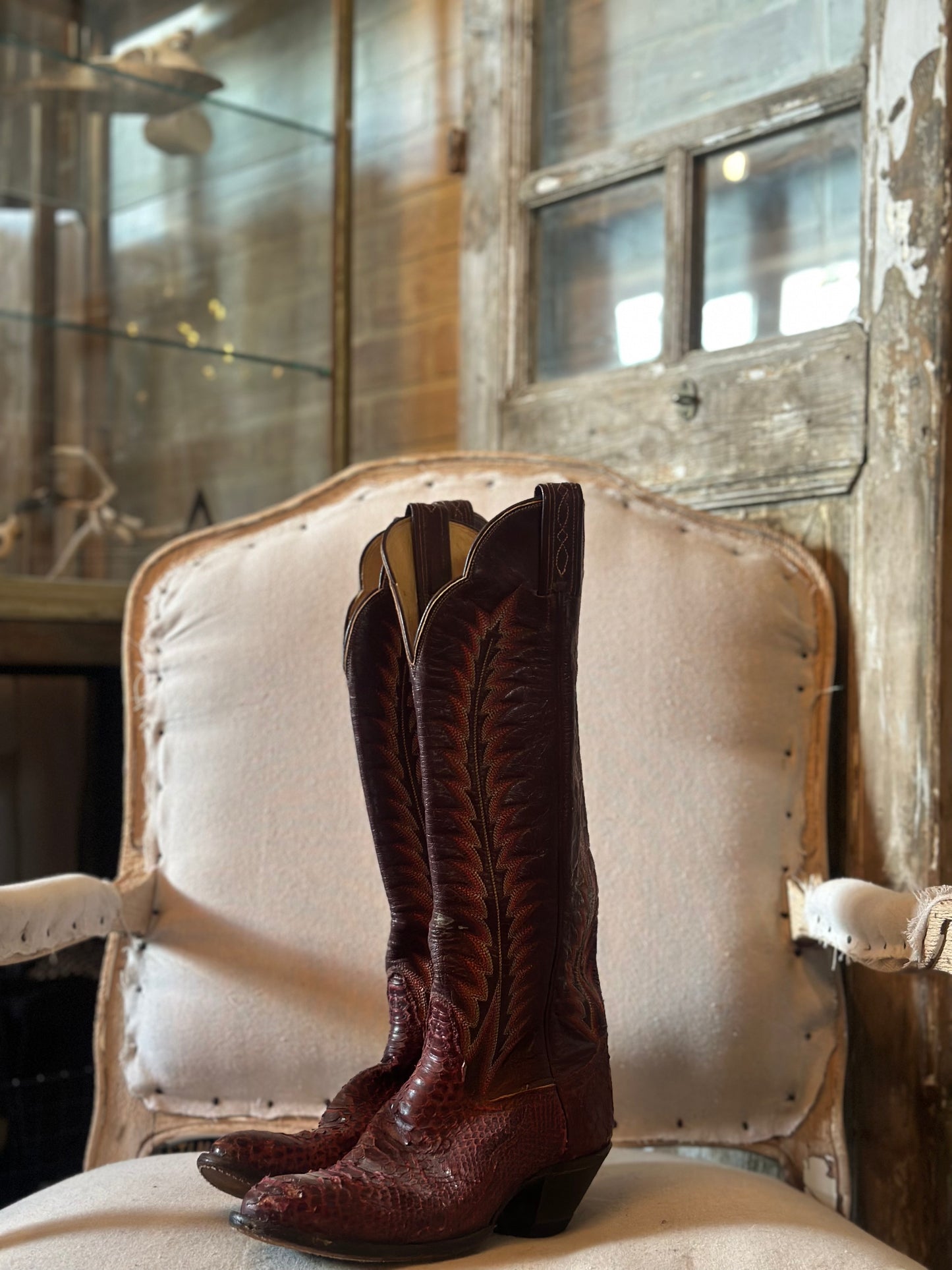 TONY LAMA BURGUNDY PYTHON W5.5