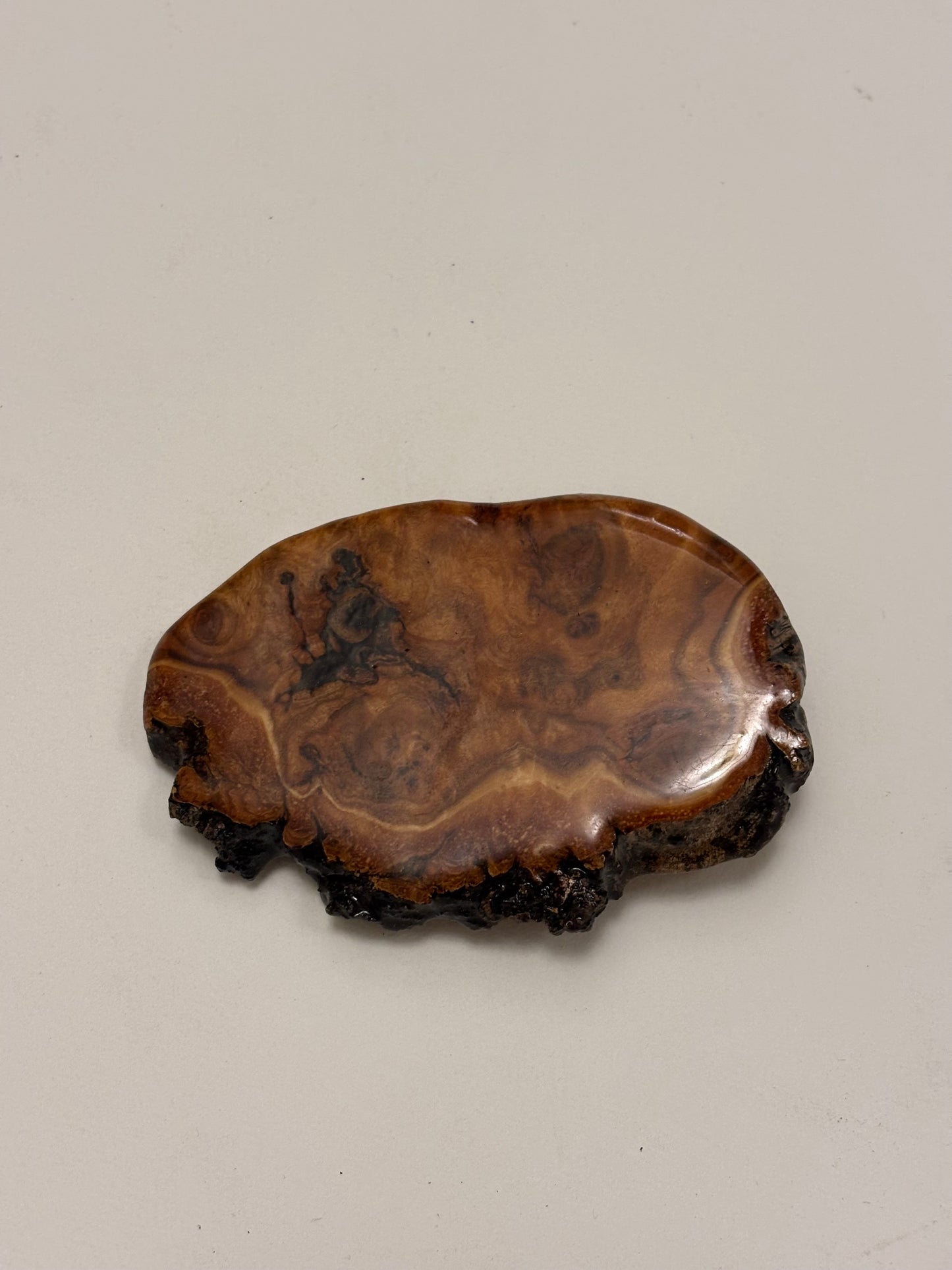 Burl Wood Buckle