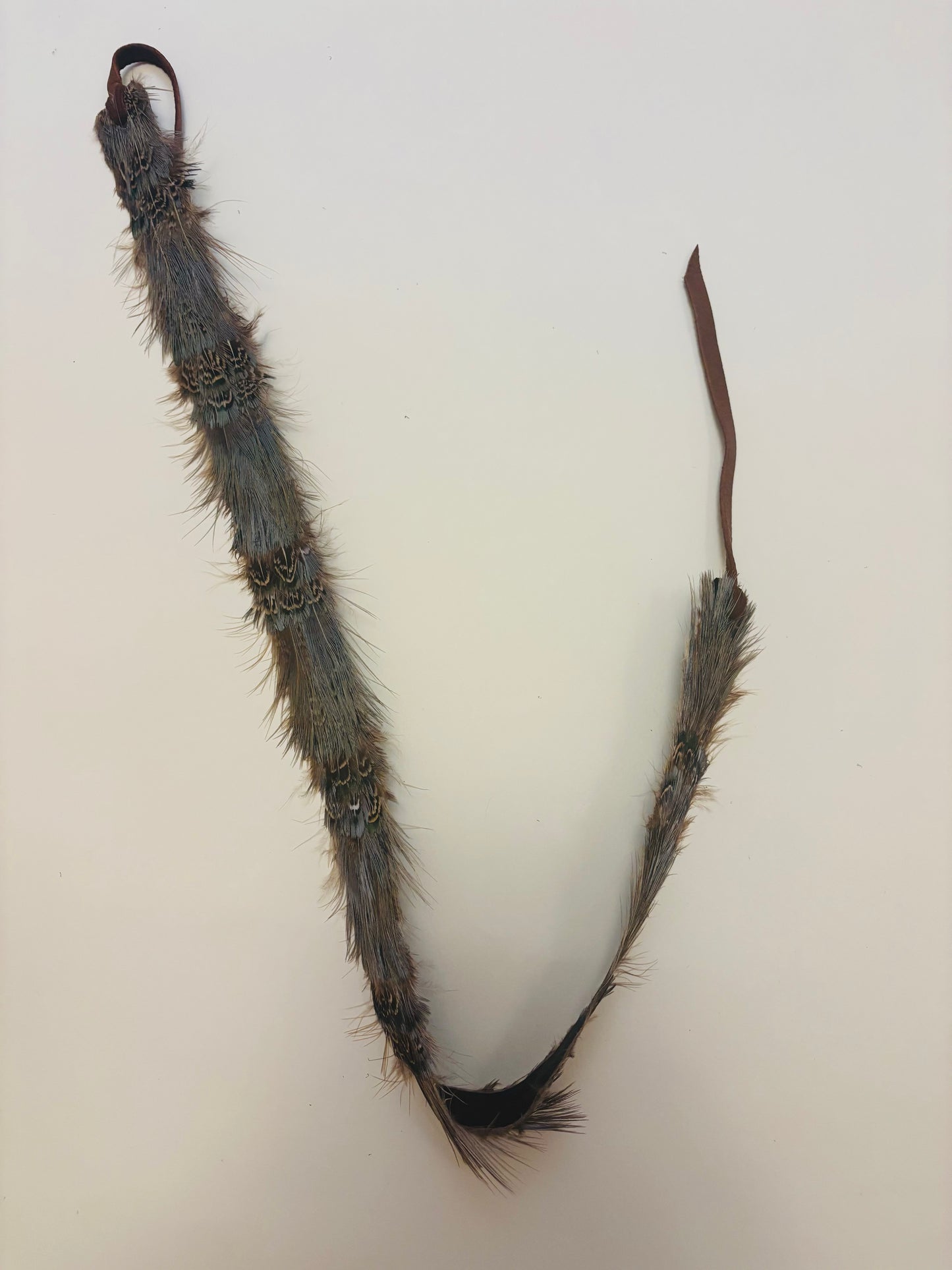 Feather Hat Band Light