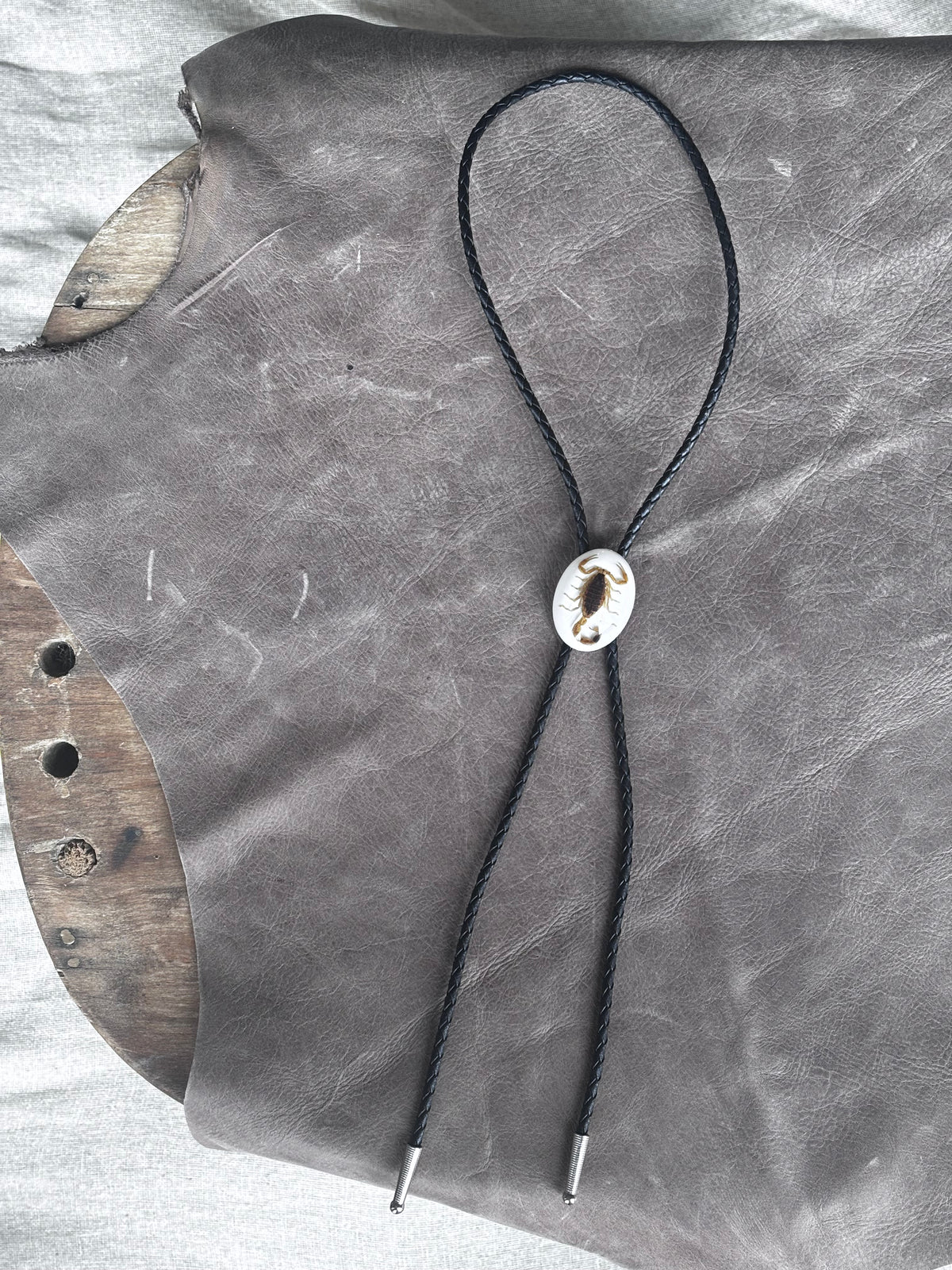 Scorpion in Resin Bolo